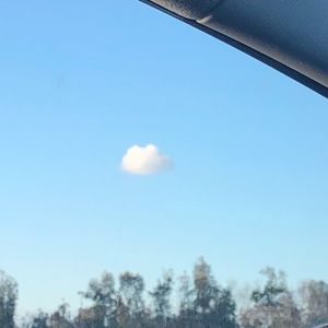 Meet your Posher, Savannah